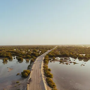 Pura Eco Retreat, Jubail Island Luxury tent
